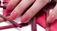 All in One Gel Nail Polish Rose-Coloured Terracotta