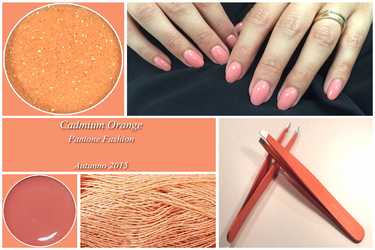 Cadmium Orange Pantone Fashion Color