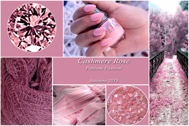 Cashmere Rose Pantone Fashion Color