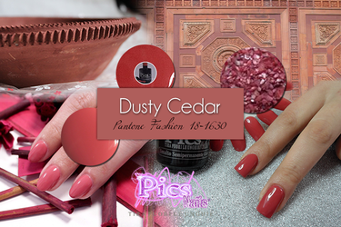 Dusty Cedar Pantone Fashion Color