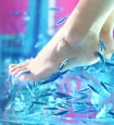 fish spa alghero