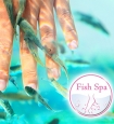 Fish Spa Negozi Pics Nails & Cosmetics