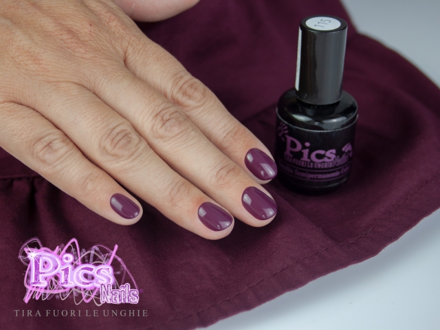 Gel Nail Polish Bordeaux Garnet