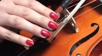 Lacquered Red Nails