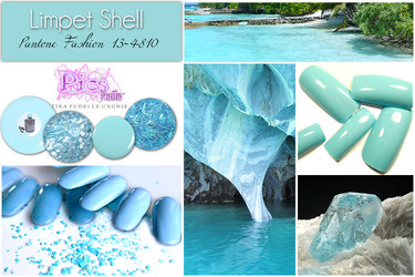 Limpet Shell Pantone Fashion Color