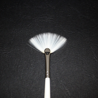 Nail Art Fan Brush