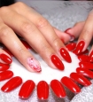 Nail Artist Blog